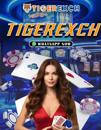 TigerExch cricket betting dashboard during IPL match